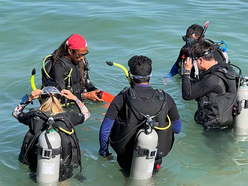 tioman island sea stories