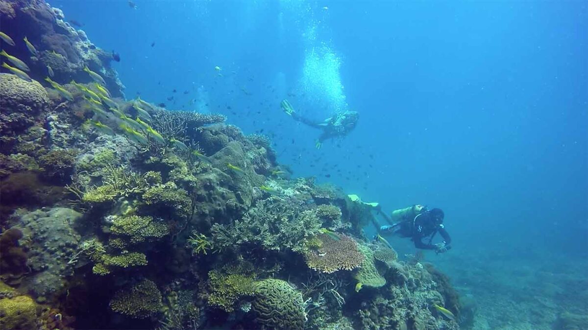 tioman island sea stories