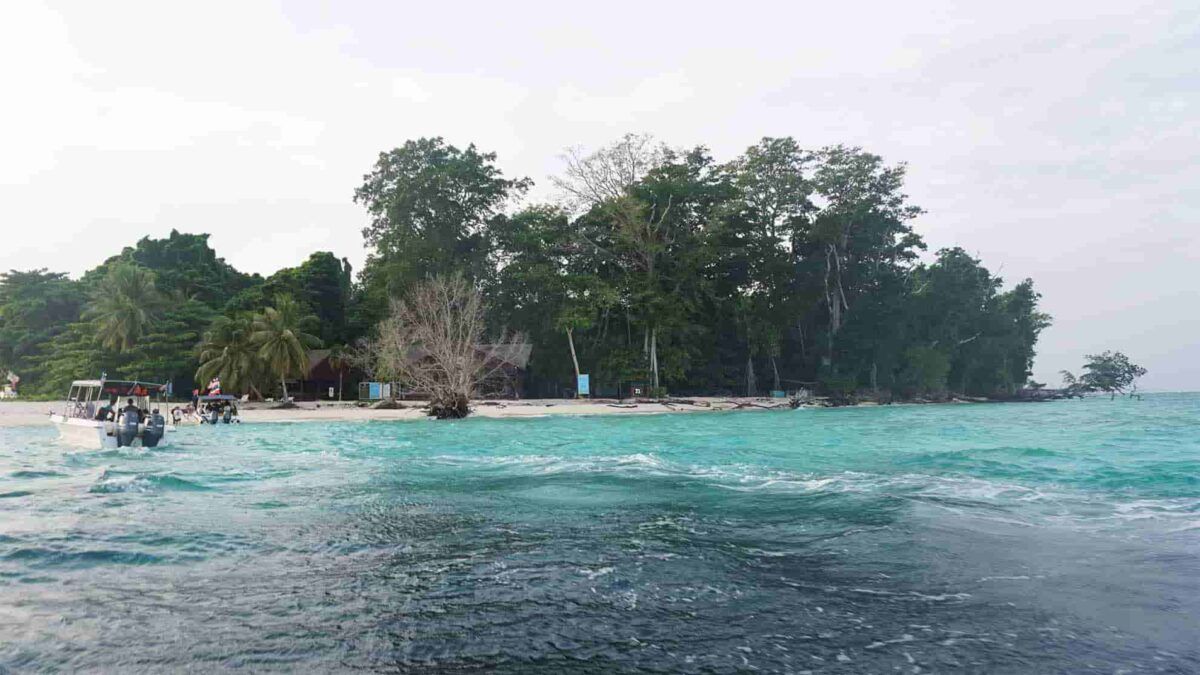 sipadan sea stories