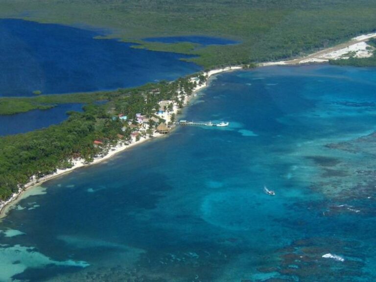 blackbird caye resort