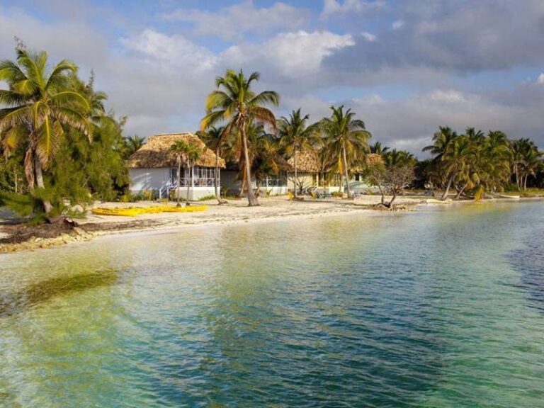 blackbird caye dive resort
