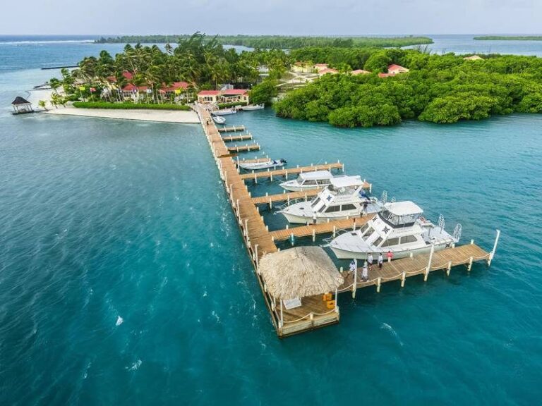 turneffe island dive resort