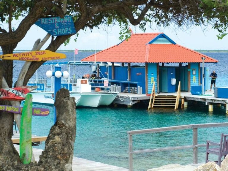 divi flamingo beach resort