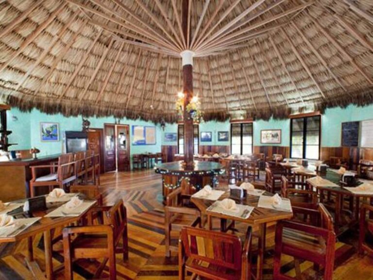 blackbird caye dive resort