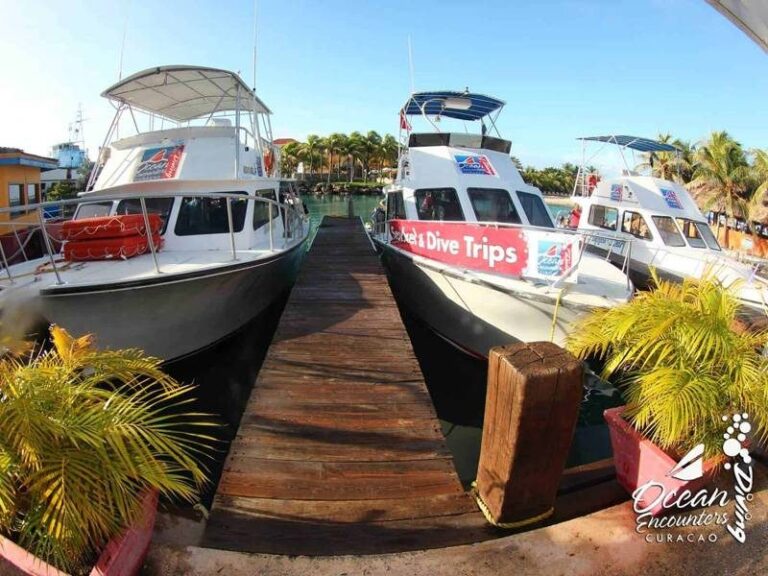 curacao dive resort