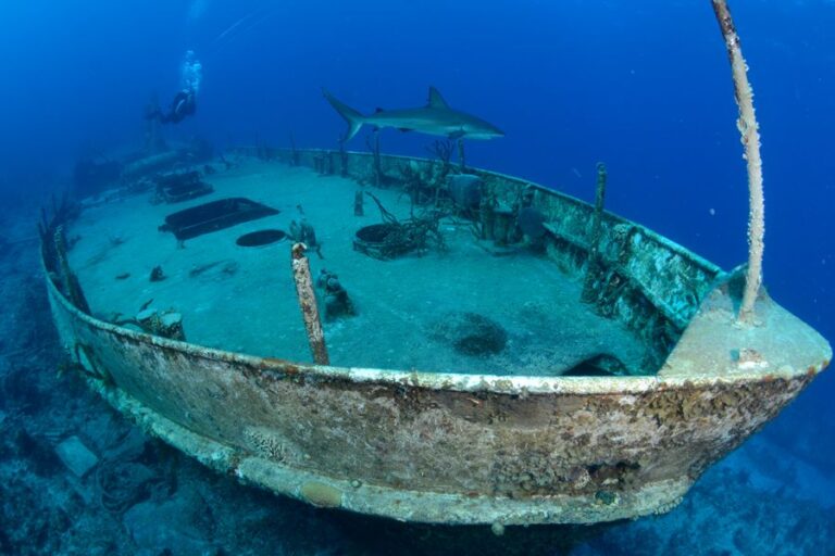bahamas scuba diving