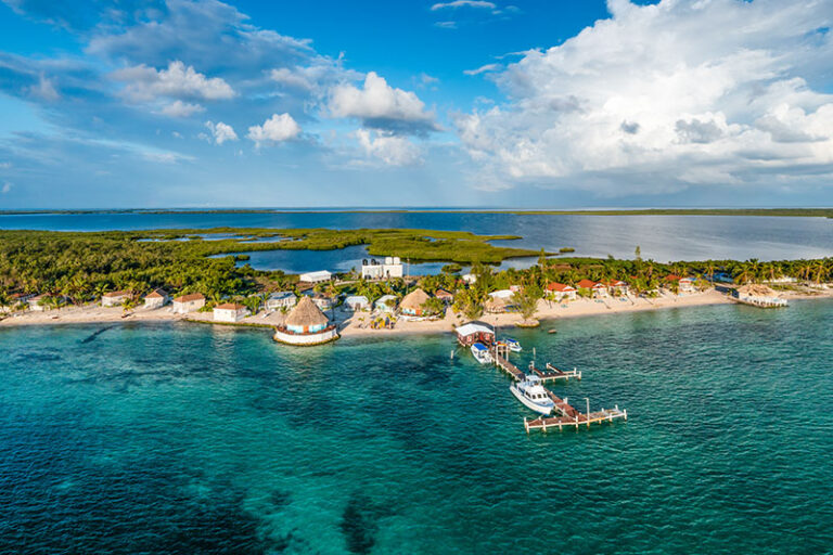blackbird caye belize