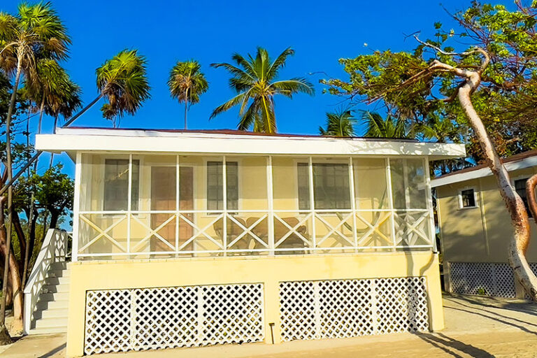 blackbird caye resort