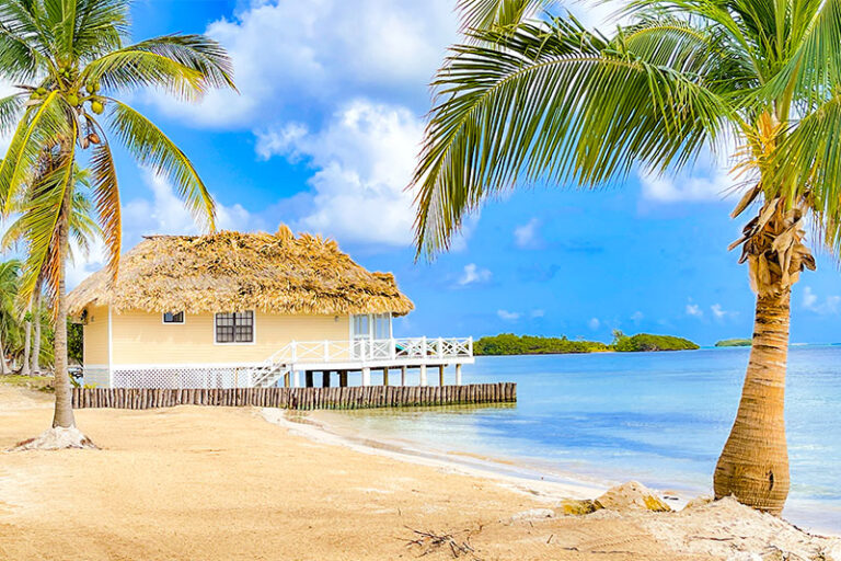 blackbird caye resort