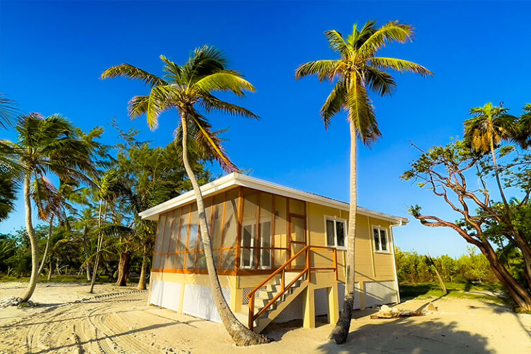blackbird caye resort