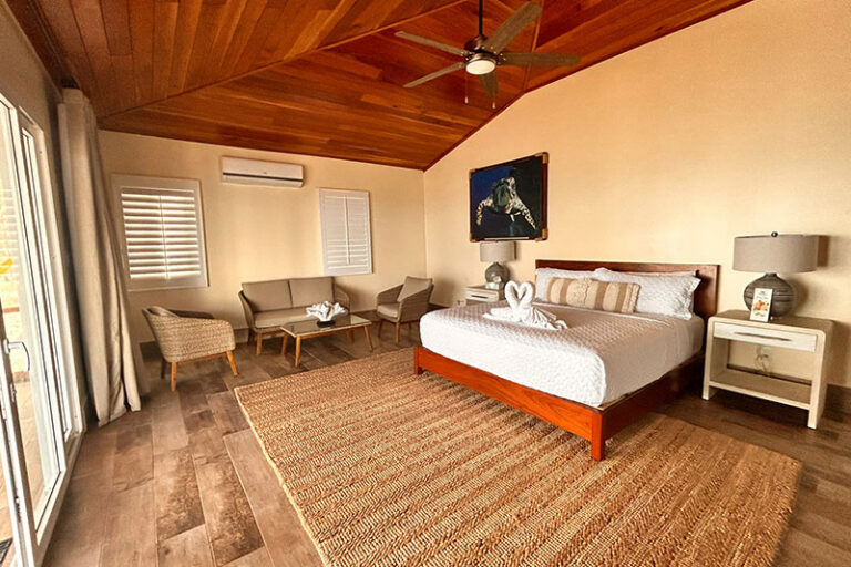 blackbird caye resort