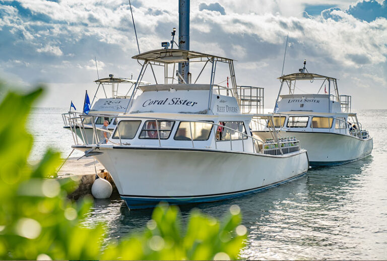 cayman brac dive resort