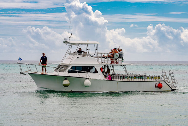 little cayman dive resort