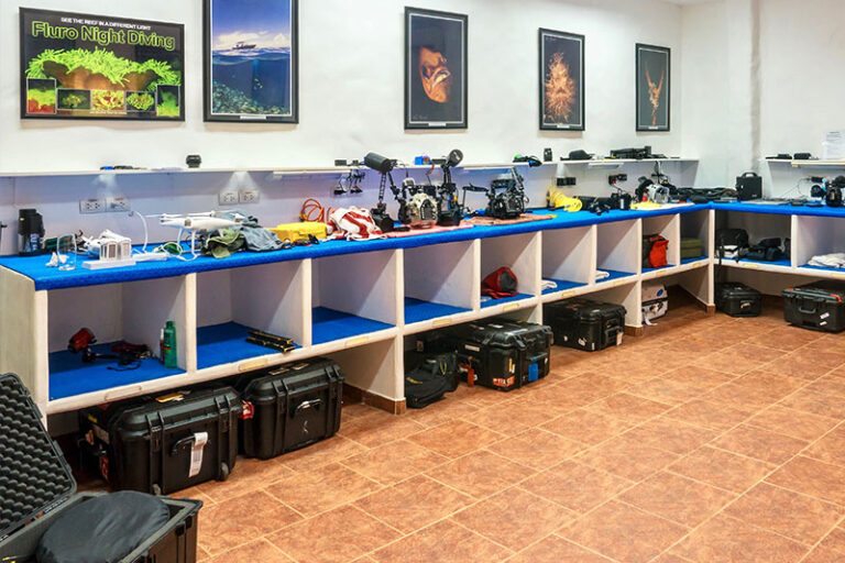 atlantis dive resort dumaguete