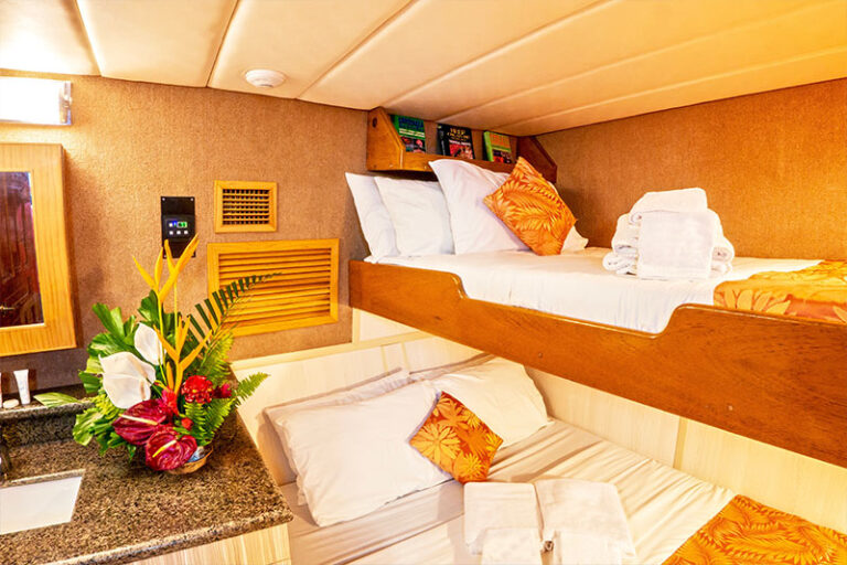 atlantis adventurer philippines liveaboard