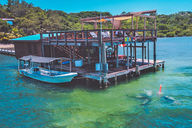 marble hill roatan dive resort