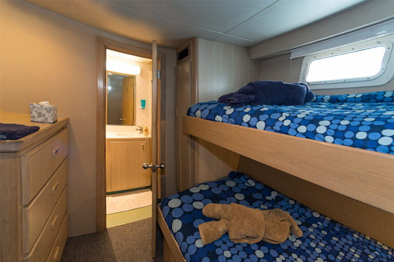 turks and caicos liveaboard