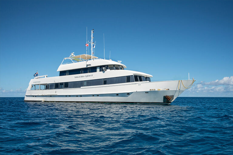 turkls and caicos explorer