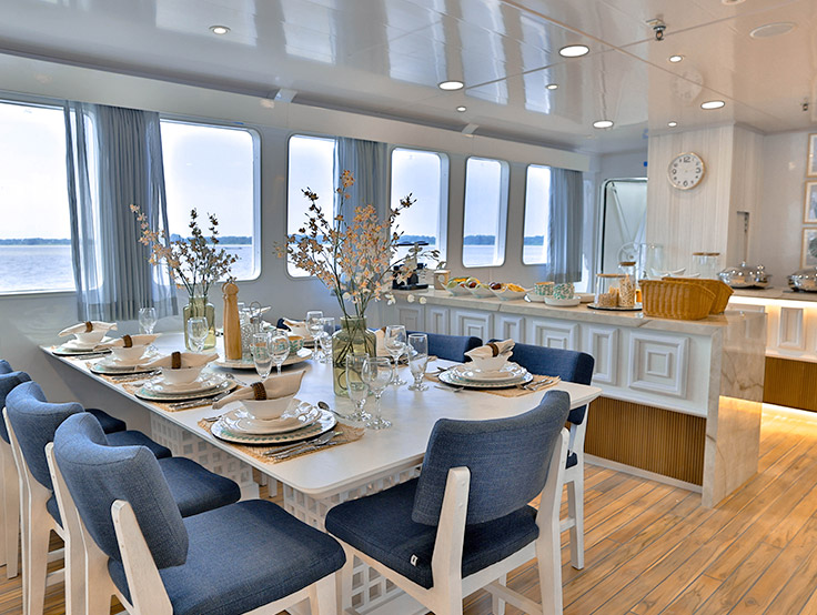 galaxy diver galapagos