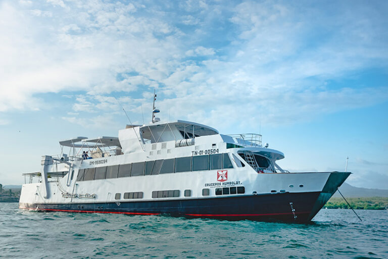 humboldt explorer galapagos liveaboard