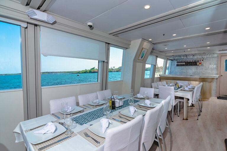 humboldt explorer galapagos liveaboard