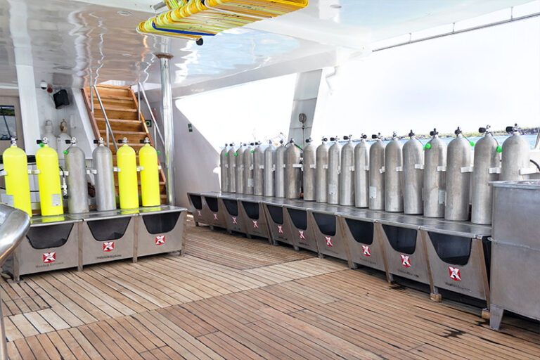 humboldt explorer galapagos liveaboard