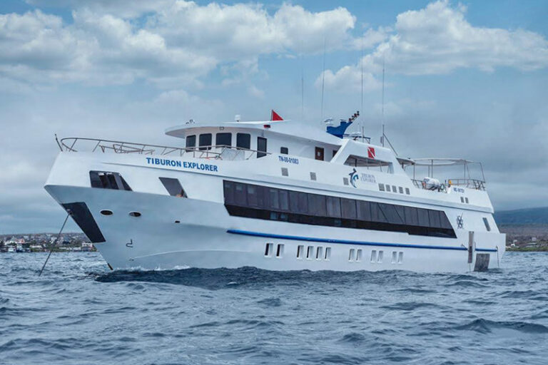 tiburon explorer liveaboard galapagos