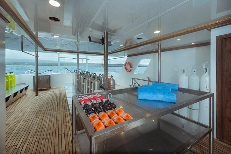 tiburon explorer liveaboard galapagos