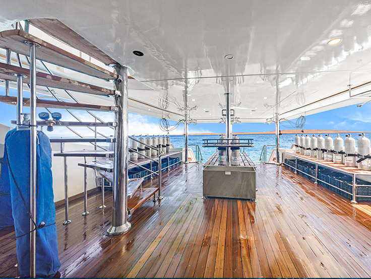 glory sea liveaboard egypt