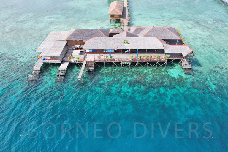 borneo divers resort mabul