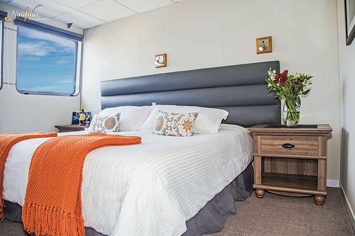 sea of cortez liveaboard