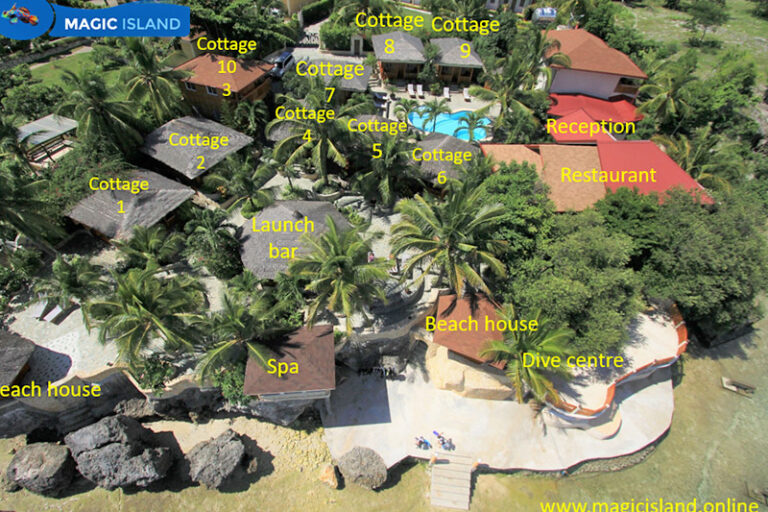 magic island dive resort philippines