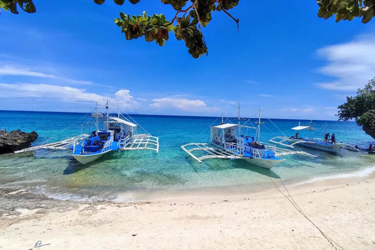 magic oceans dive resort philippines