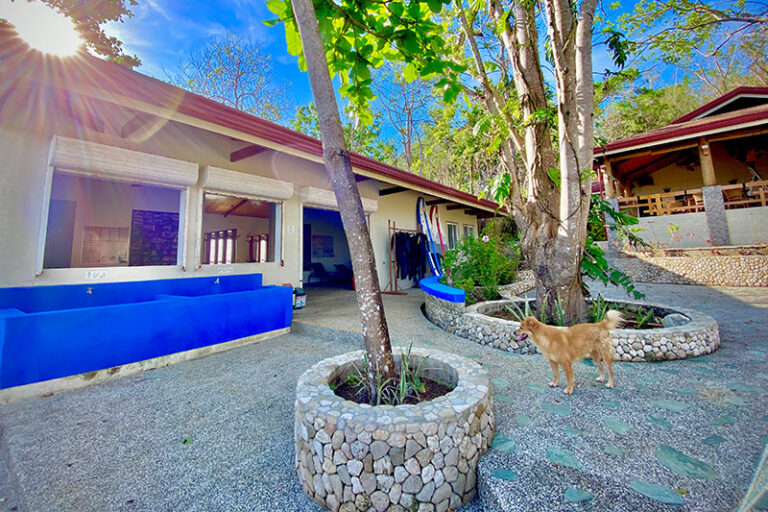 magic ocean dive resort philippines