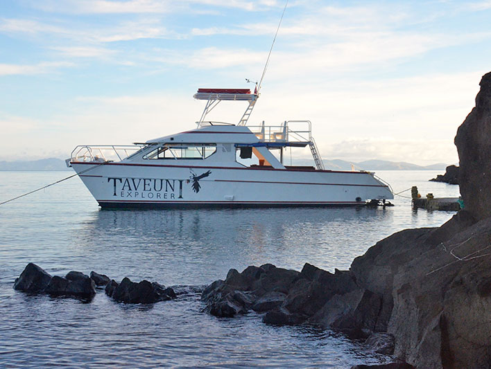 paradise taveuni dive resort fiji