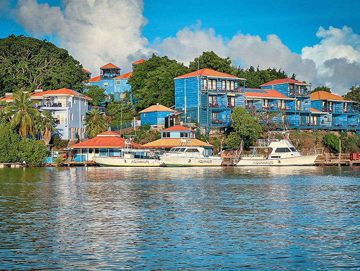 true blue bay resort grenada