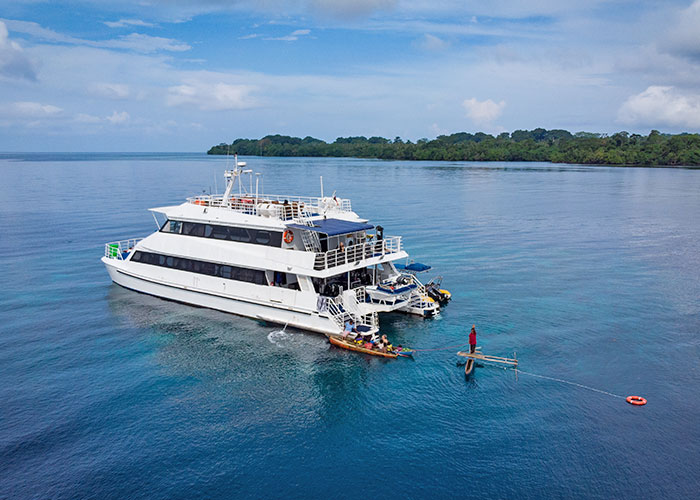 mv oceania liveaboard papua new guinea
