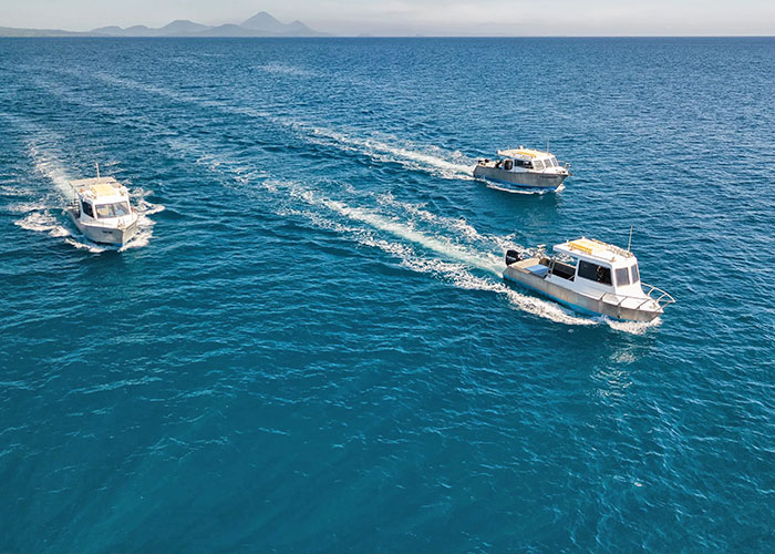 papua new guinea dive resort walindi