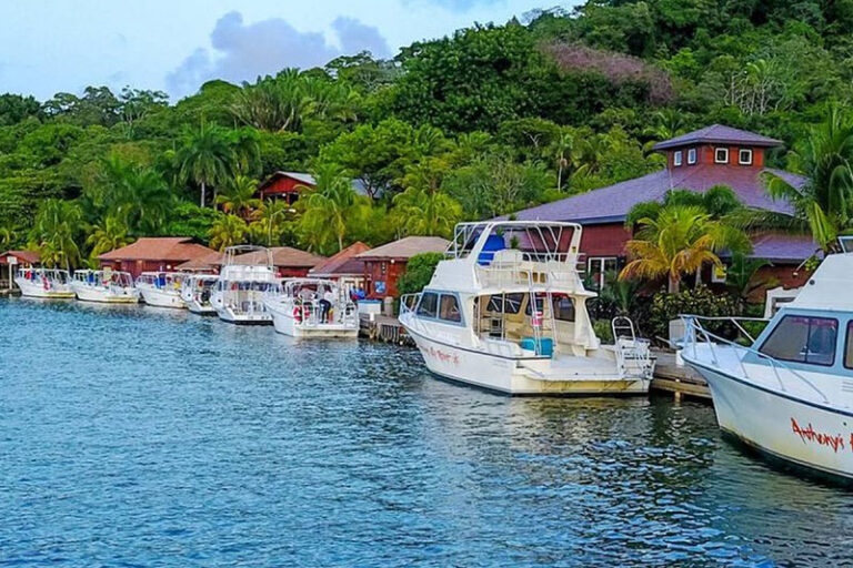anthonys key dive resort