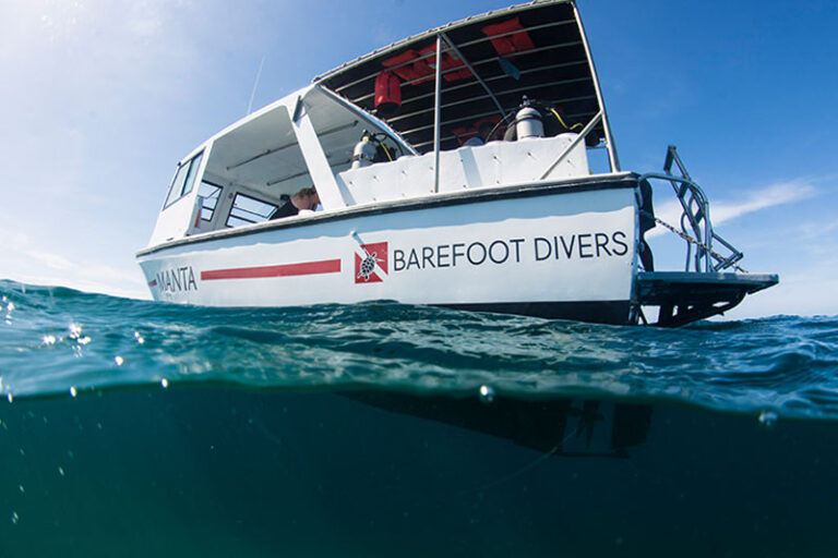 barefoot caye dive resort
