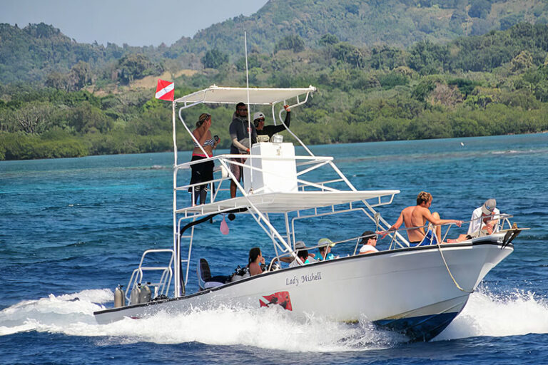 seagrape dive resort west end