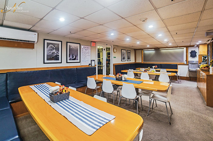 sea of cortez nautilus belle