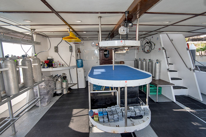 sea of cortez liveaboard