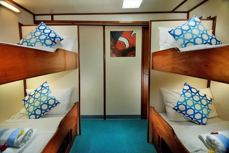 solomon master liveaboard