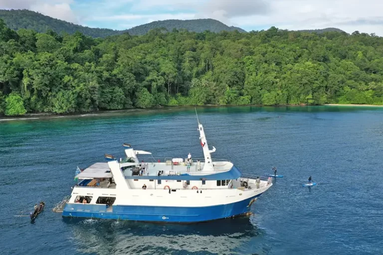 solomon master liveaboard