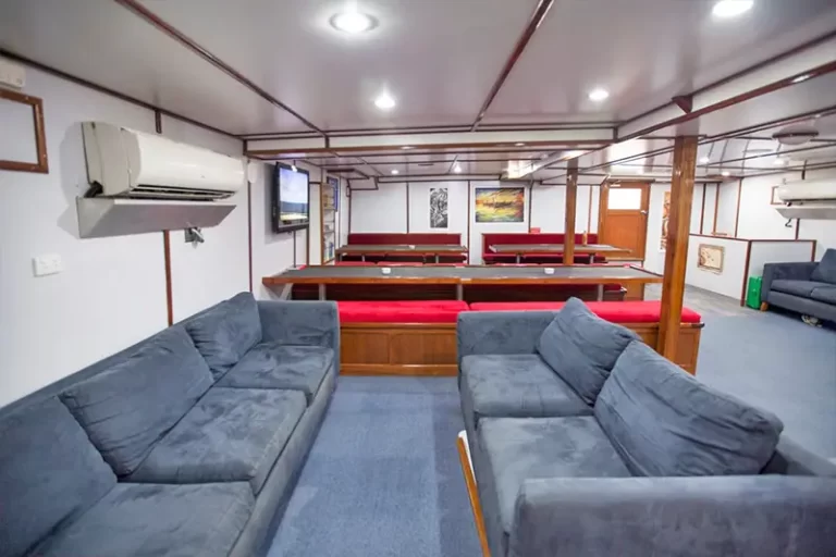 solomon master liveaboard