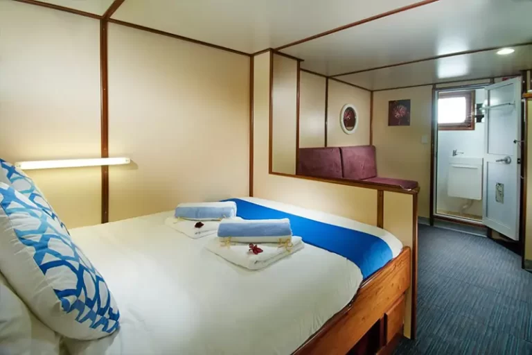 solomon master liveaboard