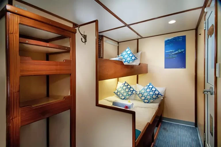 solomon master liveaboard