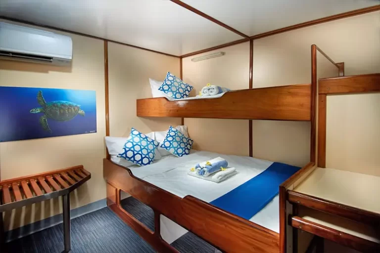 solomon master liveaboard