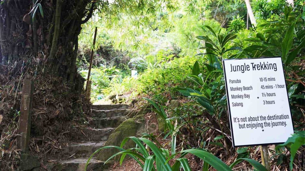 tioman island hiking